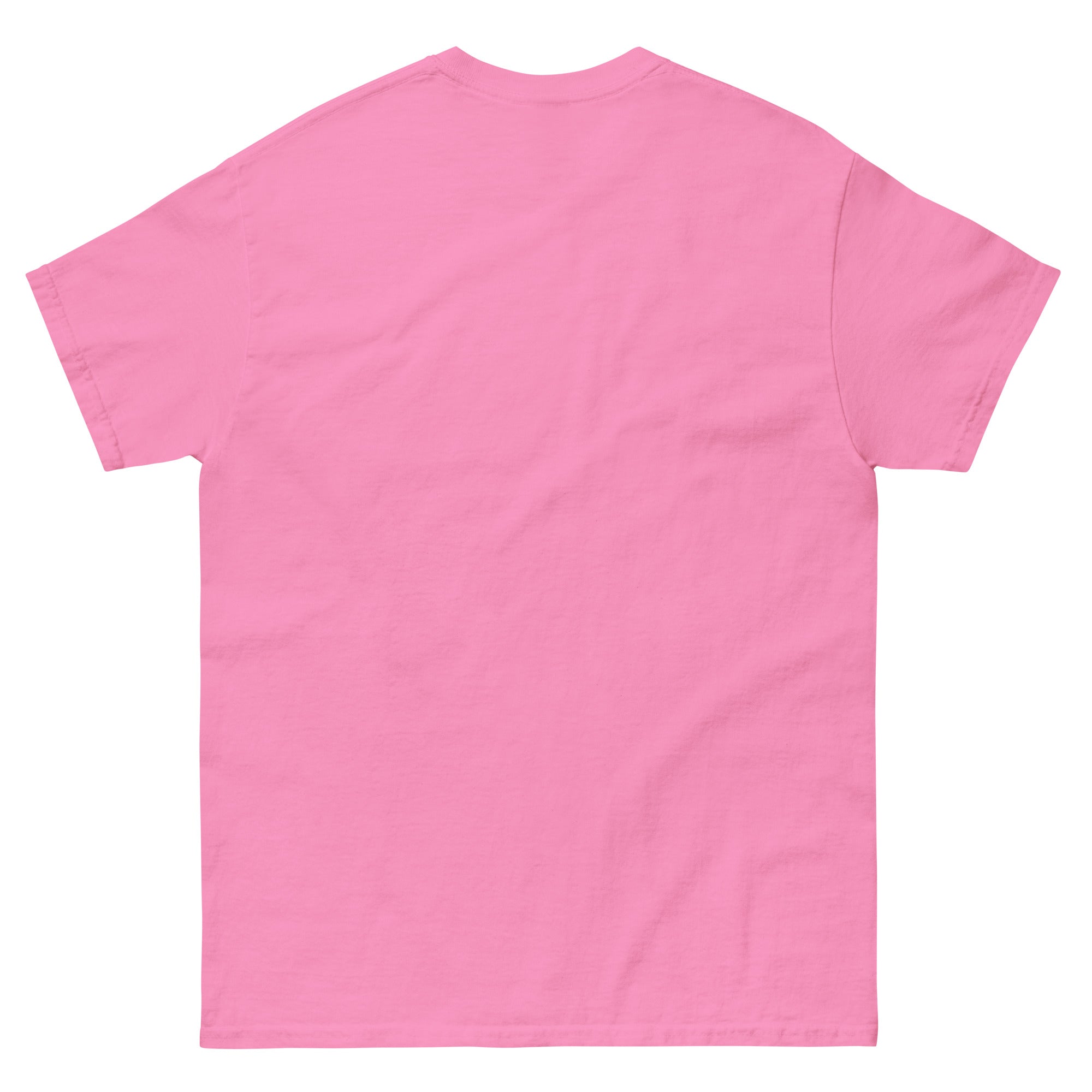 Azalea Phippa Squad classic tee back view, unisex hip hop streetwear
