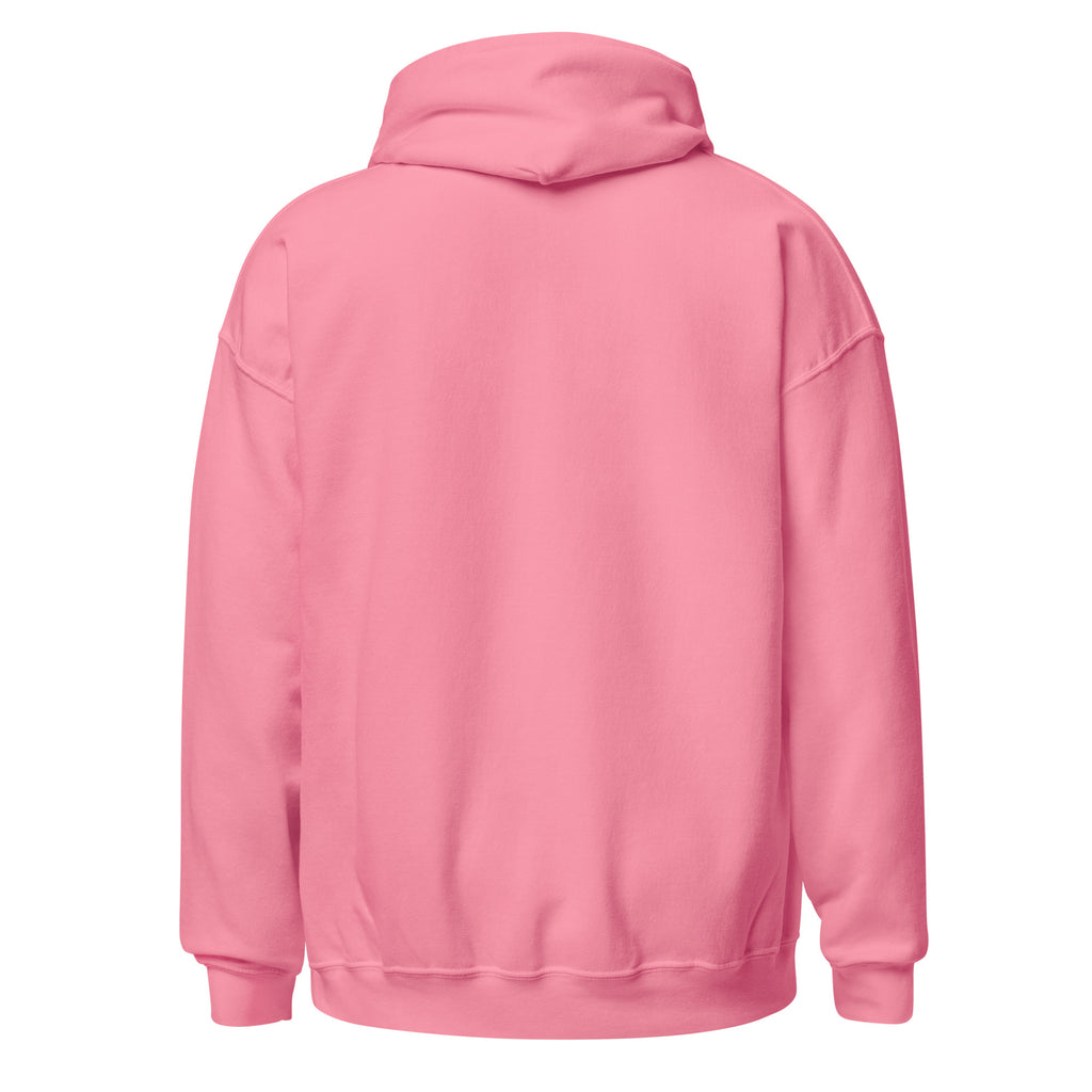 Azalea Phippa Squad classic hoodie back view, unisex hip hop streetwear