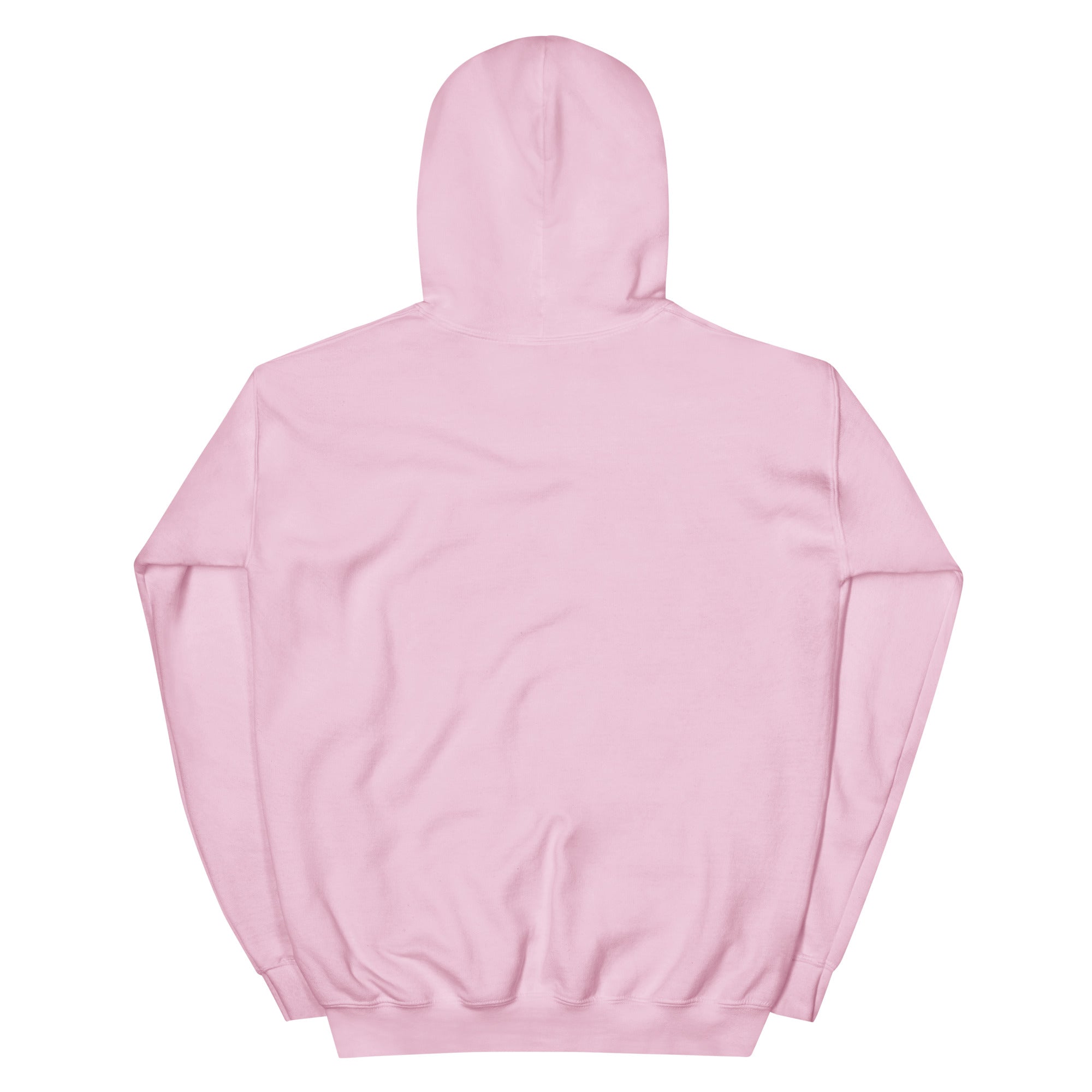 Light Pink Phippa Squad classic hoodie back view, unisex hip hop streetwear